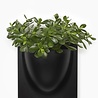Verti Copenhagen Verti Copenhagen Mini VertiPlants BIO Wall Jar 15x15cm Black Verti Copenhagen Verti Copenhagen Mini VertiPlants BIO Wall Jar 15x15cm Black