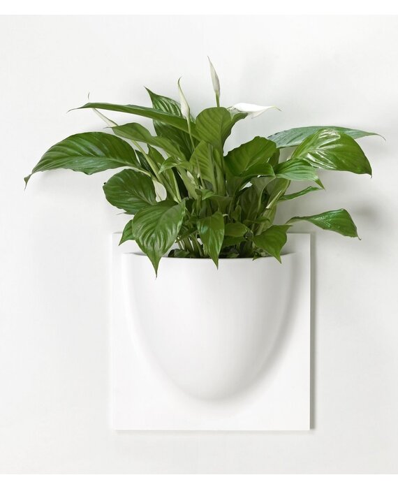 Verti Copenhagen VertiPlants BIO Wandpot 30x30cm Wit