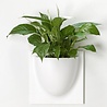 Verti Copenhagen Verti Copenhagen VertiPlants BIO Wall Jar 30x30cm White Verti Copenhagen Verti Copenhagen VertiPlants BIO Wall Jar 30x30cm White