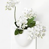 Verti Copenhagen Verti Copenhagen VertiPlants BIO Wall Jar 30x30cm White Verti Copenhagen Verti Copenhagen VertiPlants BIO Wall Jar 30x30cm White