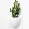 Verti Copenhagen Verti Copenhagen VertiPlants BIO Wall Jar 30x30cm White Verti Copenhagen Verti Copenhagen VertiPlants BIO Wall Jar 30x30cm White