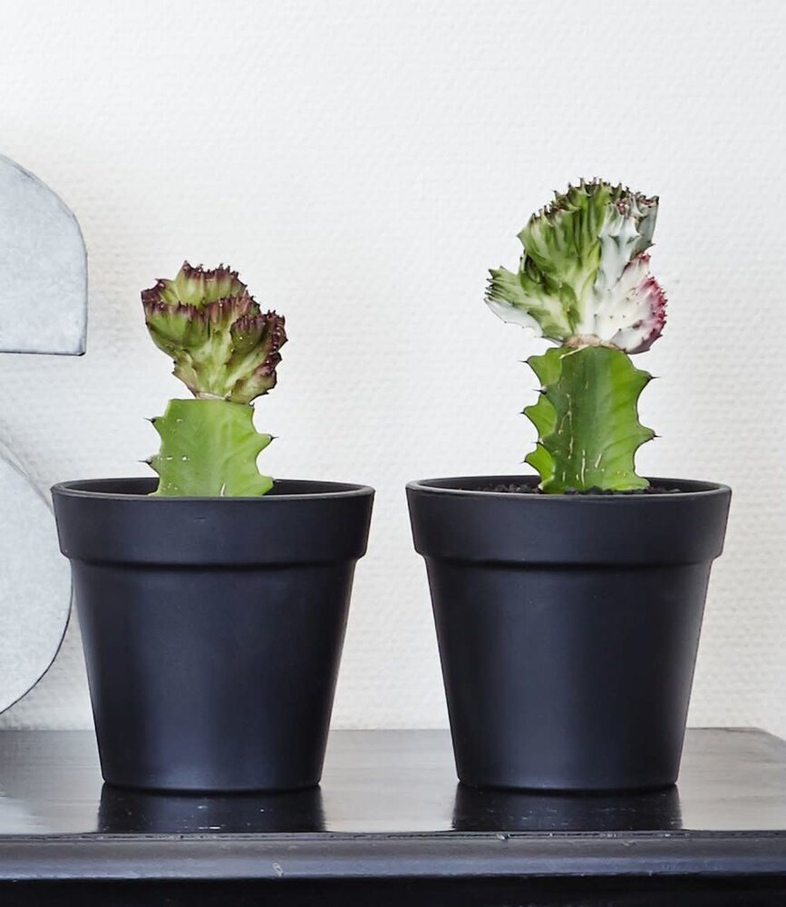 SEJ Design SEJ Design Bloempot Rond Zwart Rubber (diverse maten)