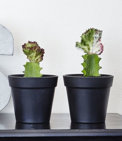 SEJ Design SEJ Design Bloempot Rond Zwart Rubber (diverse maten)