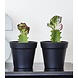 SEJ Design SEJ Design Bloempot Rond Zwart Rubber (diverse maten) SEJ Design SEJ Design Bloempot Rond Zwart Rubber (diverse maten)