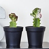 SEJ Design SEJ Design Flowerpot Round Black Rubber (various sizes) SEJ Design SEJ Design Flowerpot Round Black Rubber (various sizes)