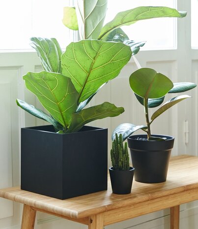 SEJ Design SEJ Design Bloempot Zwart XX-Small 7,5x7cm SEJ Design SEJ Design Bloempot Zwart XX-Small 7,5x7cm