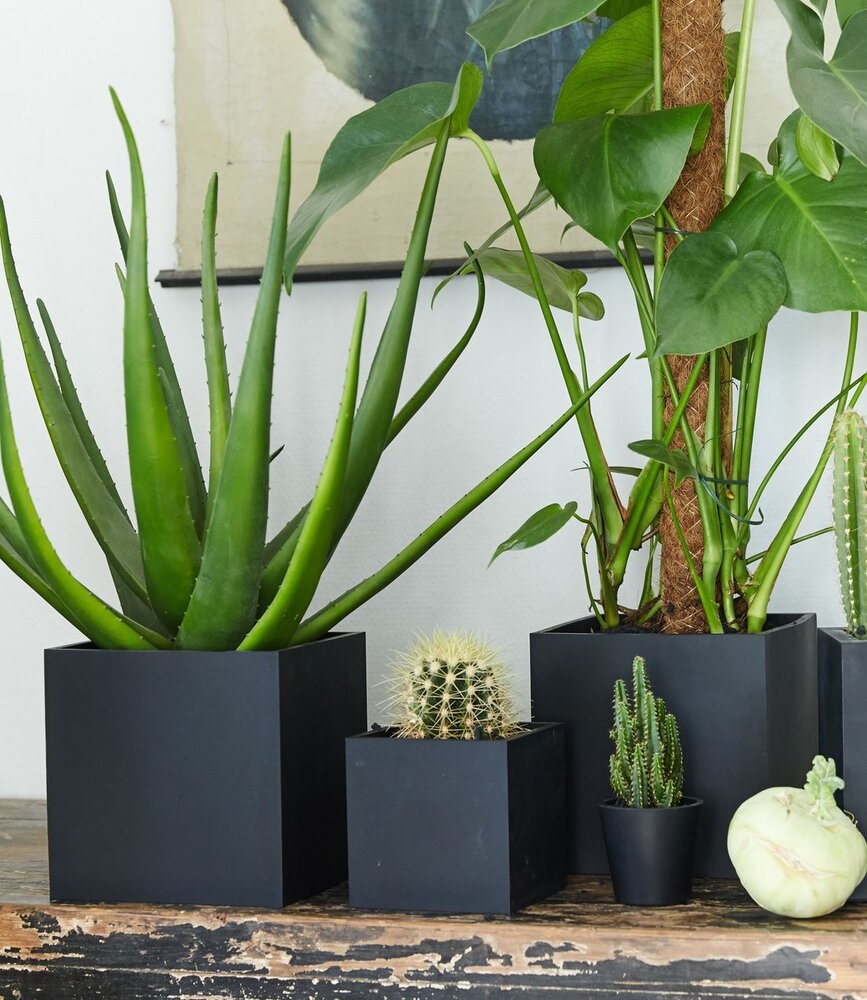 SEJ Design SEJ Design Bloempot Zwart XX-Small 7,5x7cm SEJ Design SEJ Design Bloempot Zwart XX-Small 7,5x7cm