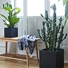 SEJ Design SEJ Design Bloempot Zwart 30x30x30cm SEJ Design SEJ Design Bloempot Zwart 30x30x30cm