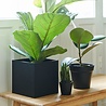 SEJ Design SEJ Design Bloempot Zwart 30x30x30cm SEJ Design SEJ Design Bloempot Zwart 30x30x30cm