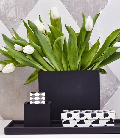 SEJ Design SEJ Design Opbergbak Zwart X-Large 20x9x18cm SEJ Design SEJ Design Opbergbak Zwart X-Large 20x9x18cm