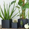 SEJ Design SEJ Design Storage Container Medium Black 12x12x12cm SEJ Design SEJ Design Storage Container Medium Black 12x12x12cm