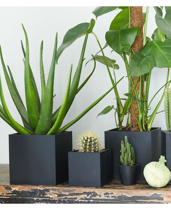 SEJ Design Bloempot Zwart 14x14x14cm