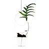 OK Design Cibele plantenpot hanger wit (incl. koord / excl. bloempot ) OK Design Cibele plantenpot hanger wit (incl. koord / excl. bloempot )