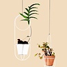 OK Design Cibele plantenpot hanger wit (incl. koord / excl. bloempot ) OK Design Cibele plantenpot hanger wit (incl. koord / excl. bloempot )