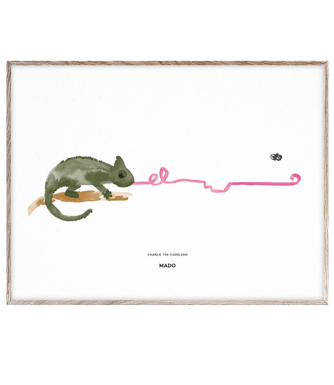 Paper Collective MADO Poster Charlie the Chameleon 30 x 40 cm