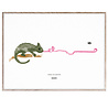 Paper Collective MADO Poster Charlie the Chameleon 30 x 40 cm - poster without frame Paper Collective MADO Poster Charlie the Chameleon 30 x 40 cm - poster without frame