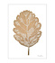 Monika Petersen A5 Mini Poster Oak leaf Monika Petersen A5 Mini Poster Oak leaf