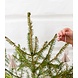 LOVI Lovi Engel berkenhout naturel DIY pakketje - 3 formaten - ook leuk om te versturen als cadeau LOVI Lovi Engel berkenhout naturel DIY pakketje - 3 formaten - ook leuk om te versturen als cadeau