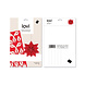 LOVI Lovi Ster berkenhout Rood DIY pakketje - 2 formaten - ook leuk om te versturen als cadeau LOVI Lovi Ster berkenhout Rood DIY pakketje - 2 formaten - ook leuk om te versturen als cadeau