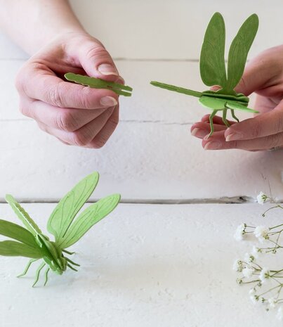 LOVI Lovi dragonfly wood - different colours - Birch plywood 3D-animal DIY package - perfect to send as a gift LOVI Lovi dragonfly wood - different colours - Birch plywood 3D-animal DIY package - perfect to send as a gift