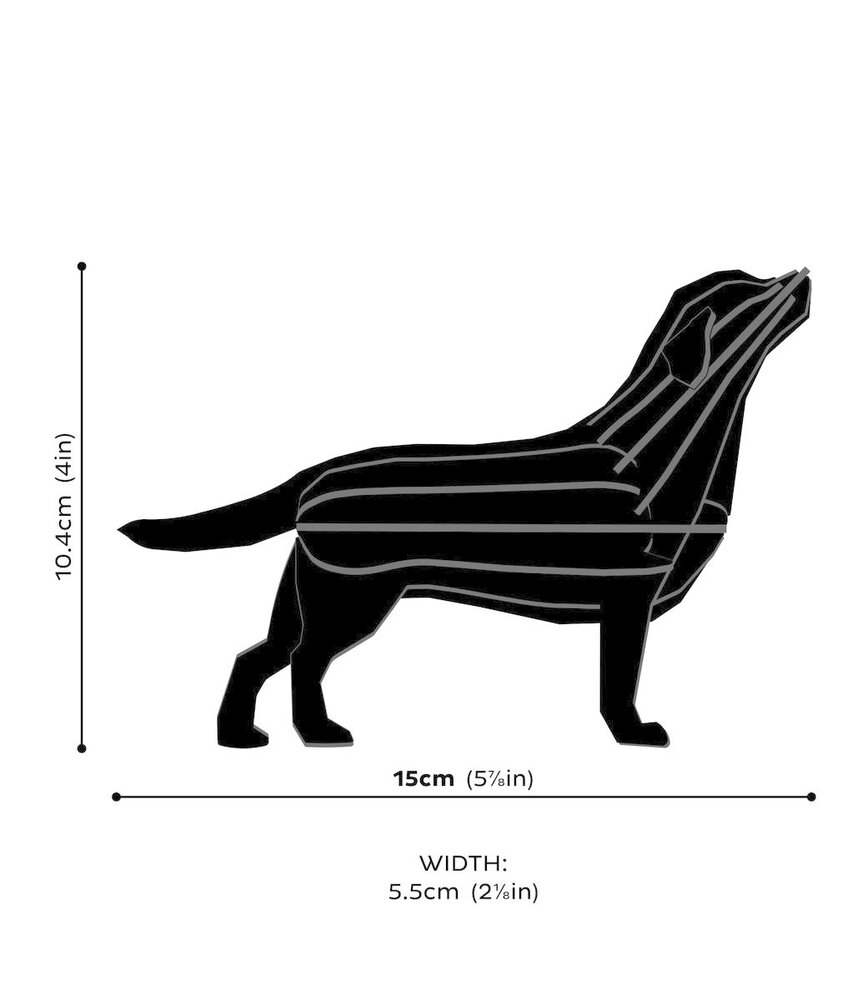 LOVI Lovi Labrador berken multiplex hout zwart 3D-dier DIY pakketje - ook leuk om te versturen als cadeau