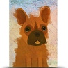 Studio Arhoj Studio Arhoj Paper Packs Dogs - 10 A5 kaarten met envelop Studio Arhoj Studio Arhoj Paper Packs Dogs - 10 A5 kaarten met envelop