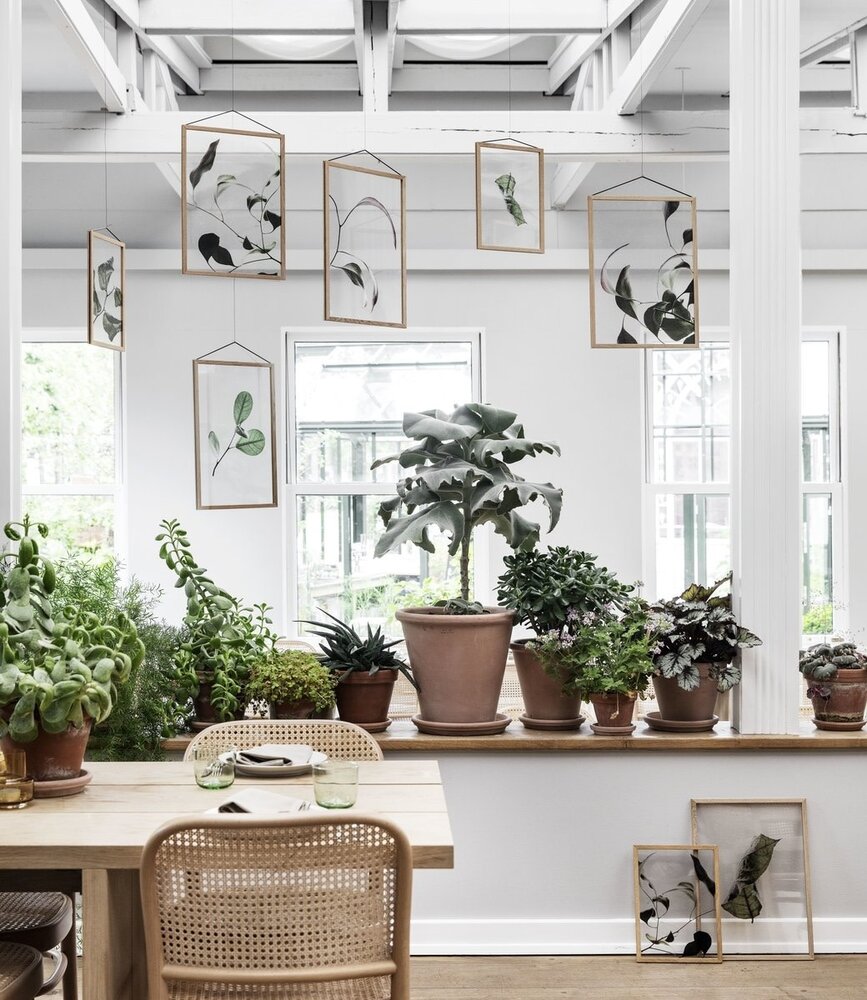 Moebe Moebe Floating Leaves Transparant print 04 in different sizes (A4, A3) Moebe Moebe Floating Leaves Transparant print 04 in different sizes (A4, A3)