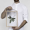 Moebe Moebe Floating Leaves Print 06 - A3 print Moebe Moebe Floating Leaves Print 06 - A3 print