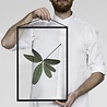 Moebe Moebe Floating Leaves Print 06 - A3 print Moebe Moebe Floating Leaves Print 06 - A3 print