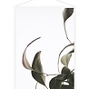 Moebe Moebe Floating Leaves Transparant print 08 in different sizes (A4, A3) Moebe Moebe Floating Leaves Transparant print 08 in different sizes (A4, A3)