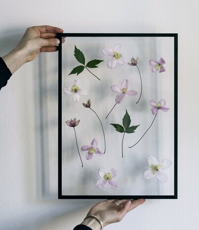 Moebe Moebe Frame Zwart aluminium fotolijst in A5, A4, A3, 40x50cm, A2 en 50x70cm