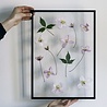 Moebe Moebe Frame Black - in A5, A4, A3, 40x50cm, A2 and 50x70cm. Moebe Moebe Frame Black - in A5, A4, A3, 40x50cm, A2 and 50x70cm.