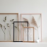 Moebe Moebe Frame Oak - transparent oak frame in A5, A4, A3, 40x50cm, A2 and 50x70cm. Moebe Moebe Frame Oak - transparent oak frame in A5, A4, A3, 40x50cm, A2 and 50x70cm.
