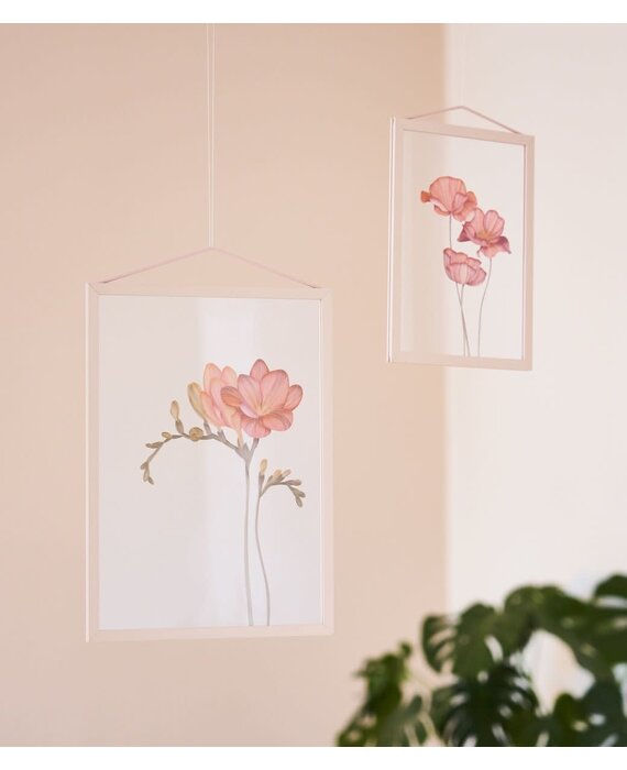 Paper Collective Forever Flower 02 (diverse formaten) Transparante print Freesia