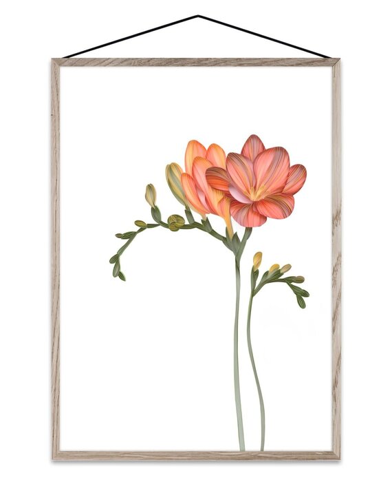 Paper Collective Forever Flower 02 (diverse formaten) Transparante print Freesia