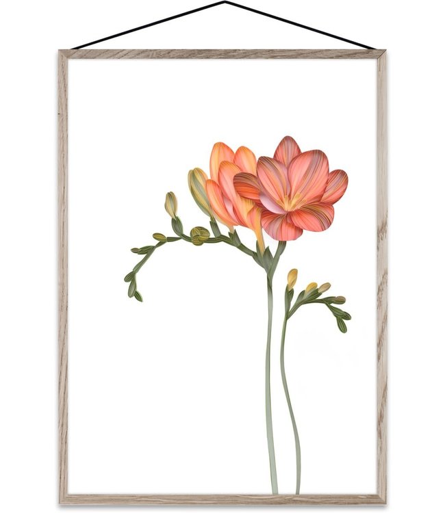 Paper Collective Paper Collective Forever Flower 02 (different sizes) Transparante print Freesia