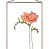 Paper Collective Paper Collective Forever Flower 02 Transparante print Freesia (different sizes) - print zonder lijst Paper Collective Paper Collective Forever Flower 02 Transparante print Freesia (different sizes) - print zonder lijst