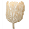 Monika Petersen Monika Petersen Lino Print Tulp Goud Wit 50x70 Monika Petersen Monika Petersen Lino Print Tulp Goud Wit 50x70