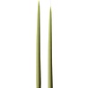 KunstIndustrien KunstIndustrien set of 2 Handmade Olive H35cm Candles KunstIndustrien KunstIndustrien set of 2 Handmade Olive H35cm Candles