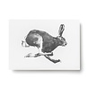 Teemu Järvi Teemu Järvi A6 card Hare Teemu Järvi Teemu Järvi A6 card Hare