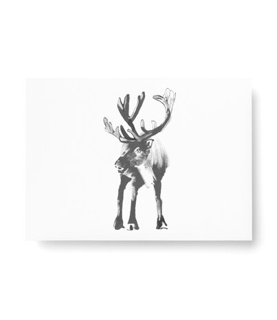Teemu Järvi Teemu Järvi A6 card Reindeer Teemu Järvi Teemu Järvi A6 card Reindeer