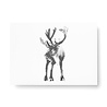 Teemu Järvi Teemu Järvi A6 card Reindeer Teemu Järvi Teemu Järvi A6 card Reindeer