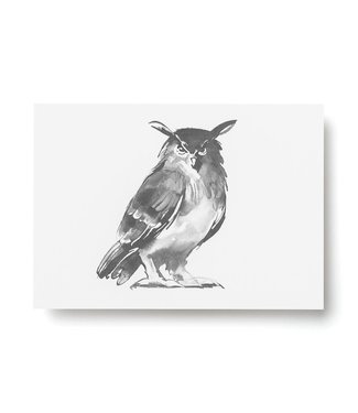 Teemu Järvi Teemu Järvi A6 card Owl