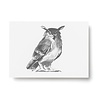 Teemu Järvi Teemu Järvi A6 card Owl Teemu Järvi Teemu Järvi A6 card Owl