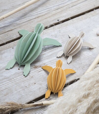 LOVI Lovi Schildpad berkenhout Naturel - 2 formaten - 3D-dier DIY pakketje LOVI Lovi Schildpad berkenhout Naturel - 2 formaten - 3D-dier DIY pakketje