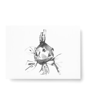 Teemu Järvi Teemu Järvi A6 kaart Baars Teemu Järvi Teemu Järvi A6 kaart Baars