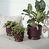 Rosendahl Rosendahl Ro Flowerpot 15 cm made of recycled plastic Bordeaux Rosendahl Rosendahl Ro Flowerpot 15 cm made of recycled plastic Bordeaux
