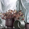 Rosendahl Rosendahl Ro Flowerpot 15 cm made of recycled plastic Bordeaux Rosendahl Rosendahl Ro Flowerpot 15 cm made of recycled plastic Bordeaux