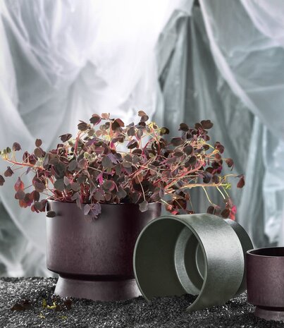 Rosendahl Rosendahl Ro Flowerpot 19 cm made of recycled plastic Bordeaux Rosendahl Rosendahl Ro Flowerpot 19 cm made of recycled plastic Bordeaux