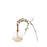 Scandinaviaform Scandinavia Form Vaasje Glasilium Transparent Ø85mm Medium Scandinaviaform Scandinavia Form Vaasje Glasilium Transparent Ø85mm Medium